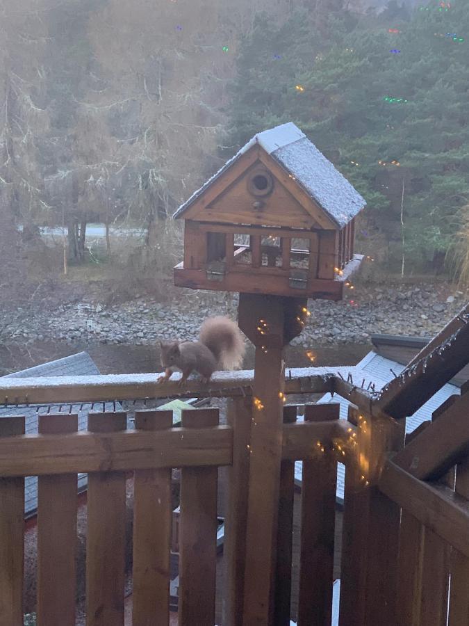 Beautiful 2 Bedroom Lodge With Stunning Views Blair Atholl Exterior foto